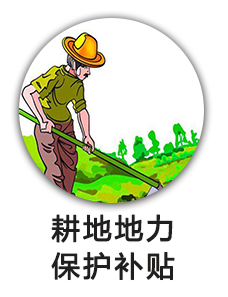 耕地地力保护补贴