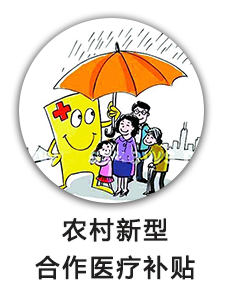 农村新型合作医疗补贴