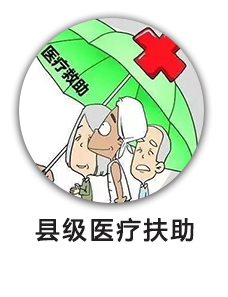 县级医疗扶助