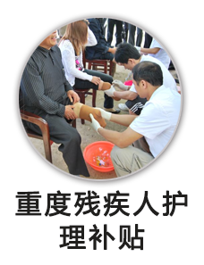 重度残疾人护理补贴