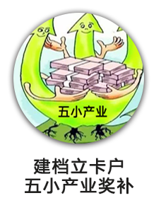 建档立卡户五小产业奖补