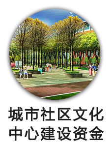 城市社区文化中心建设资金