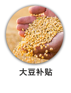 大豆补贴