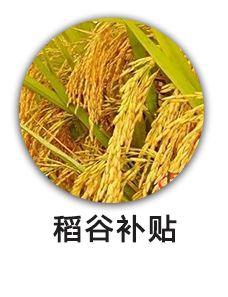 稻谷补贴