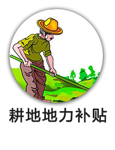 耕地地力补贴