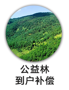 公益林到户补偿