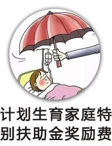 计划生育家庭特别扶助金奖励费