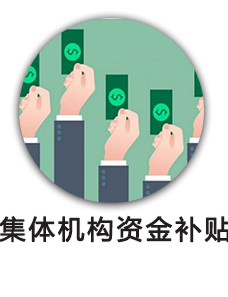 集体机构资金补贴