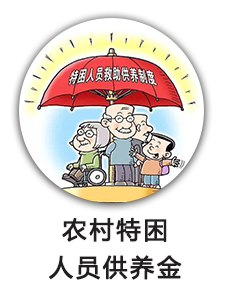 农村特困人员供养金