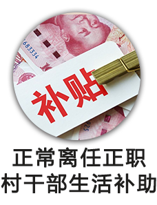 正常离任正职村干部生活补助